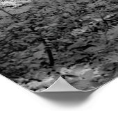 YOSEMITE TUNNEL REDWOOD c. 1902 Poster (Hoek)