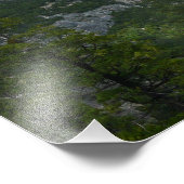 Yosemite-vallei in het Nationaal Park Yosemite Foto Afdruk (Hoek)