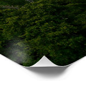 Yosemite-vallei in het Nationaal Park Yosemite Perfect Poster (Hoek)