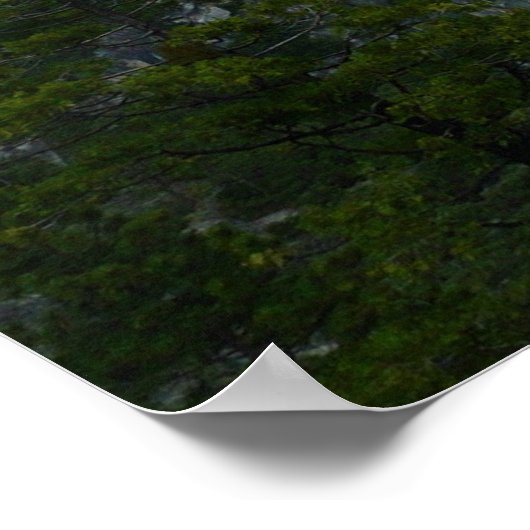 Yosemite-vallei in het Nationaal Park Yosemite Poster (Hoek)