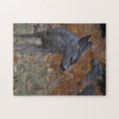 Yosemite Valley Fawn Legpuzzel (Horizontaal)