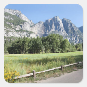Yosemite Valley Meadow, El Capitan, Staycatie Vierkante Sticker