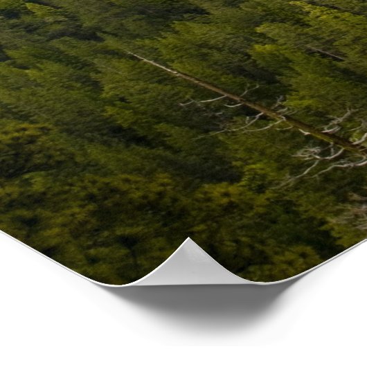 Yosemite Valley Poster (Hoek)