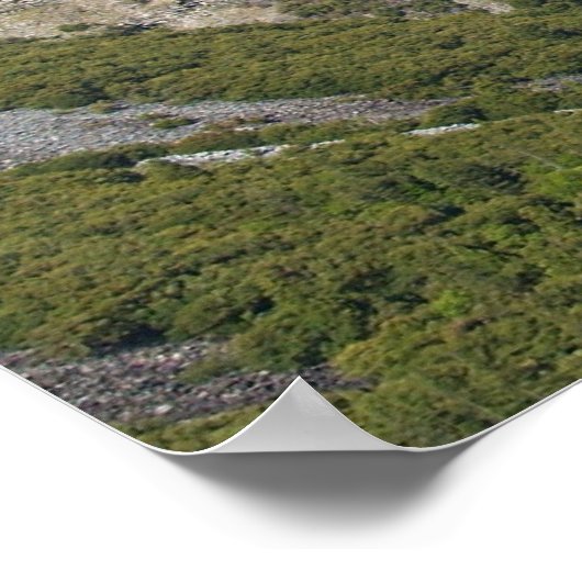 Yosemite Valley Uitzicht Poster (Hoek)