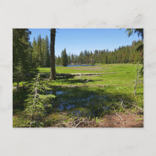 Yosemite-weide met vallende sterren briefkaart