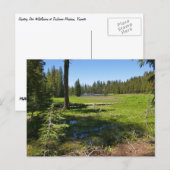 Yosemite-weide met vallende sterren briefkaart (Voorkant / Achterkant)