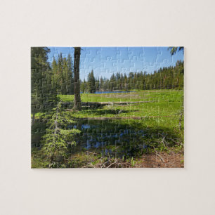 Yosemite-weide met vallende sterren legpuzzel