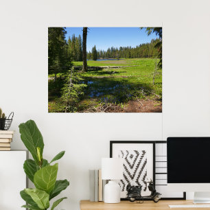 Yosemite-weide met vallende sterren poster