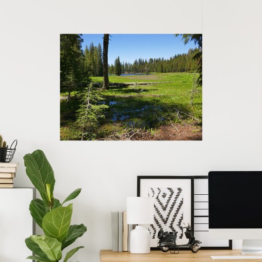 Yosemite-weide met vallende sterren poster (Thuiskantoor)