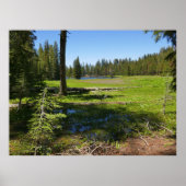 Yosemite-weide met vallende sterren poster (Voorkant)