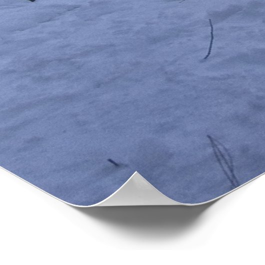 Yosemite Winter Landschap Poster (Hoek)