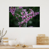 Yosemite's kleur poster (Keuken)