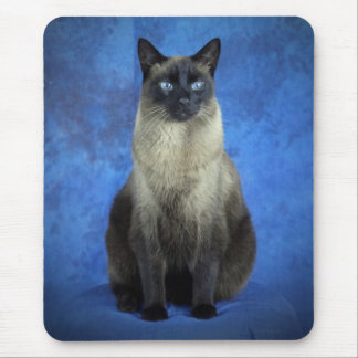 Yoshi de Siamese Kitty Cat Kitten Mousepad Muismat
