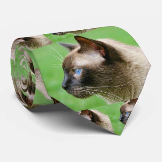 Yoshi het Stropdas van de Siamese kat (Opgerold)