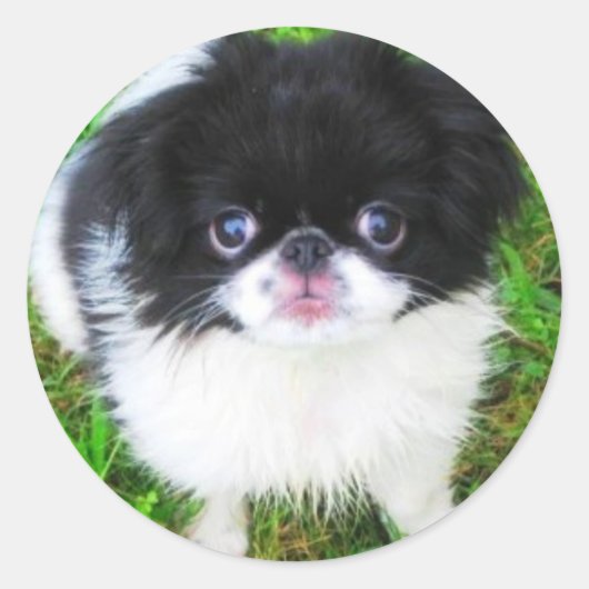 Yoshi Puppy Sticker (Voorkant)