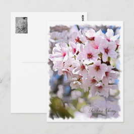 Yoshino Cherry ポストカード Briefkaart