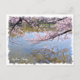 Yoshino Cherry ポストカード Briefkaart