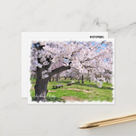 Yoshino Cherry ポストカード Briefkaart