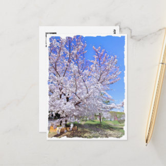 Yoshino Cherry ポストカード Briefkaart