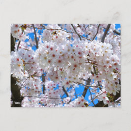 Yoshino Cherry Briefkaart