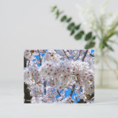 Yoshino Cherry Briefkaart (Staand voorkant)