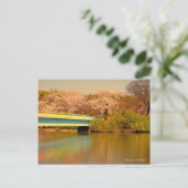 Yoshino Cherry Briefkaart (Staand voorkant)