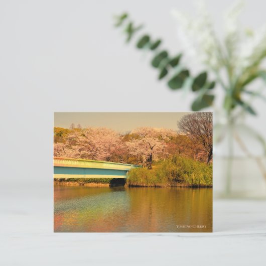 Yoshino Cherry Briefkaart (Staand voorkant)