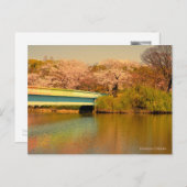 Yoshino Cherry Briefkaart (Voorkant / Achterkant)