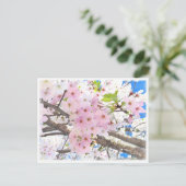 Yoshino Cherry Briefkaart (Staand voorkant)