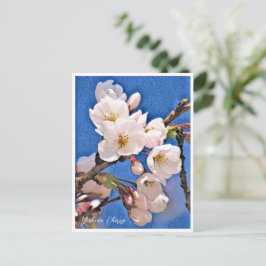 Yoshino Cherry Briefkaart