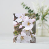 Yoshino Cherry:Briefkaart Briefkaart (Staand voorkant)