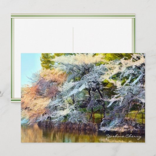 Yoshino Cherry: Flat Card Kaart (Voorkant / Achterkant)