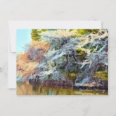 Yoshino Cherry: Flat Card Kaart (Voorkant)