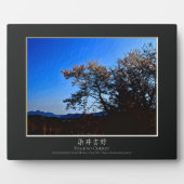 Yoshino Cherry Fotoplaat (Voorkant)