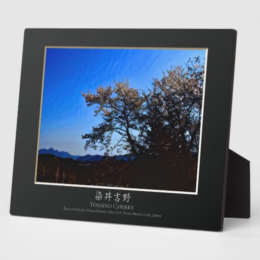 Yoshino Cherry Fotoplaat (Zijkant)