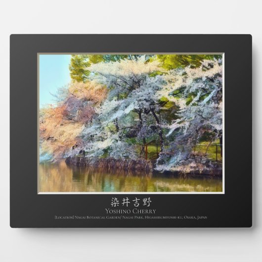 Yoshino Cherry Fotoplaat (Voorkant)