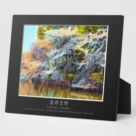Yoshino Cherry Fotoplaat (Zijkant)