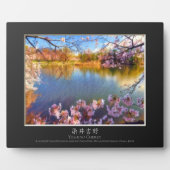 Yoshino Cherry Fotoplaat (Voorkant)