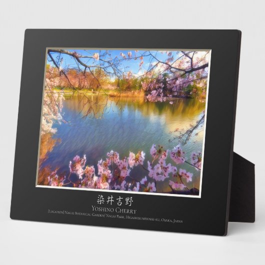 Yoshino Cherry Fotoplaat (Zijkant)