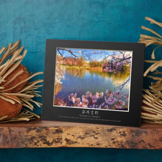 Yoshino Cherry Fotoplaat (Zijkant)