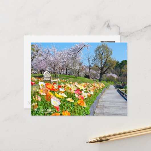Yoshino Cherry & Iceland Poppy Briefkaart (Voorkant / Achterkant in situ)