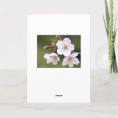 Yoshino Cherry Kaart (Achterkant)