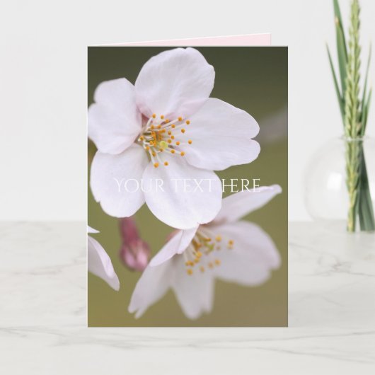 Yoshino Cherry Kaart (Voorkant)