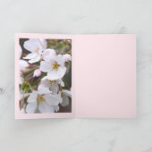 Yoshino Cherry Kaart (Binnen)