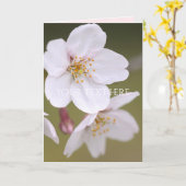 Yoshino Cherry Kaart (Gele Bloem)