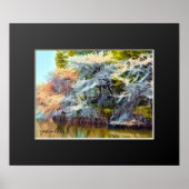 Yoshino Cherry Poster (Voorkant)