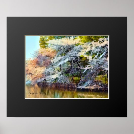Yoshino Cherry Poster (Voorkant)