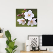 Yoshino Cherry:Poster Poster (Thuiskantoor)