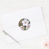 Yoshino Cherry:Seal Ronde Sticker (Envelop)