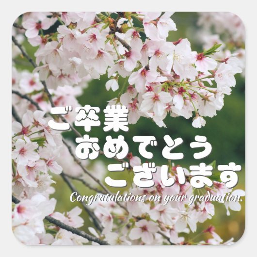 Yoshino Cherry Vierkante Sticker (Voorkant)